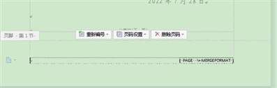編輯頁腳時怎么頁數(shù)都是一樣的