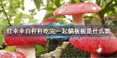 紅傘傘白桿桿吃完一起躺板板是什么歌