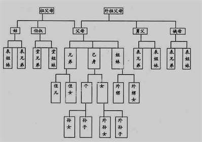 舅舅的外孫和舅舅外甥的女兒算近親嗎