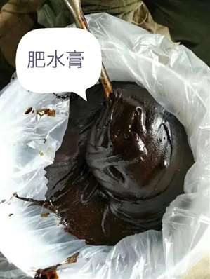 養(yǎng)魚如何肥水