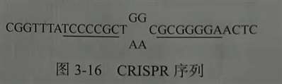 我是提問“請(qǐng)問圖中CRISPR序列中間的兩排堿基表示什么,？”那個(gè)問題的人,，還想繼續(xù)請(qǐng)教一下