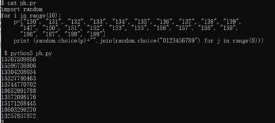 python隨機輸出10個手機號碼