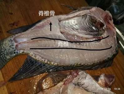 炭火烤羅非魚(yú)如何中間對(duì)半破開(kāi)