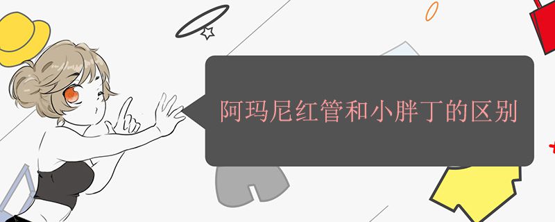 阿瑪尼紅管和小胖丁的區(qū)別