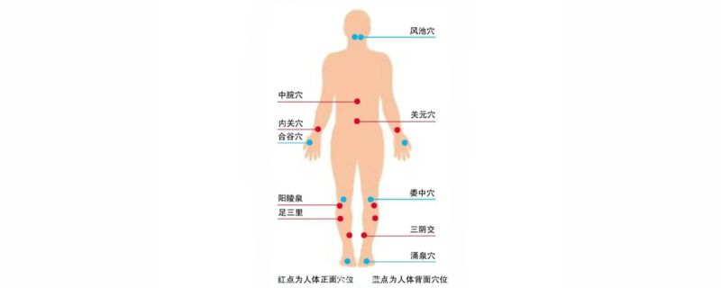 針灸減肥扎哪些部位