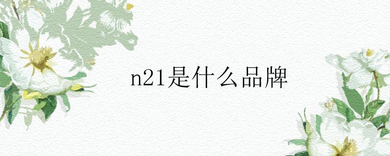 n21是什么品牌