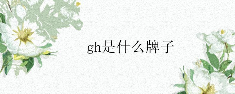 gh是什么牌子