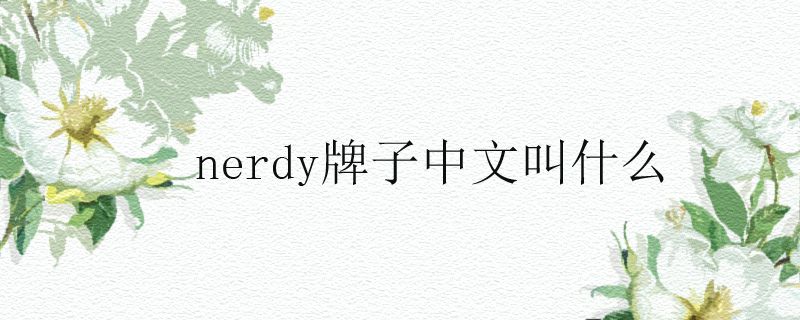 nerdy牌子中文叫什么