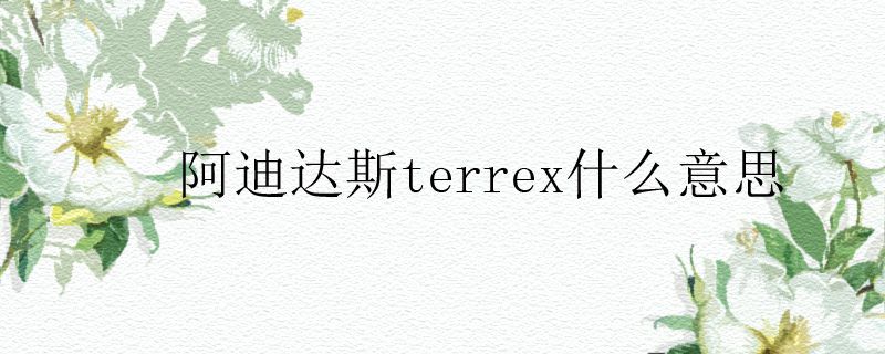 阿迪達(dá)斯terrex什么意思