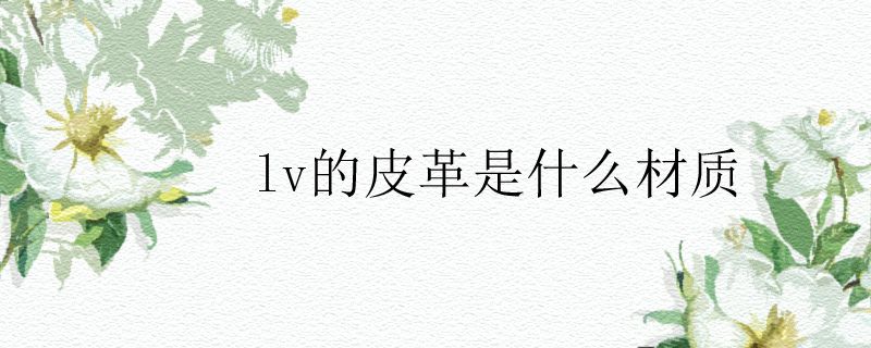 lv的皮革是什么材質(zhì)