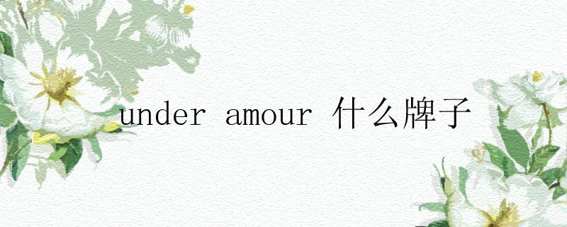 under amour 什么牌子