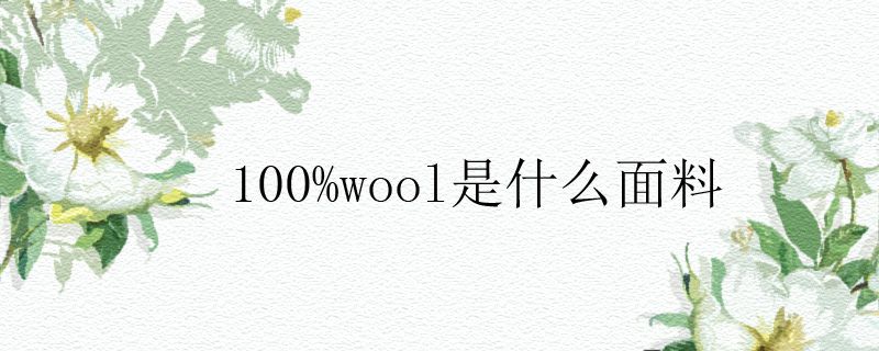 100%wool是什么面料